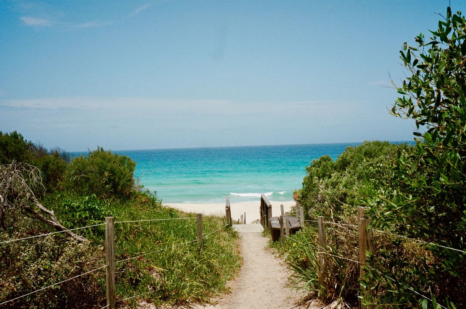 A sandy track between rope fences through coastal scrub, down to a turquoise beach.