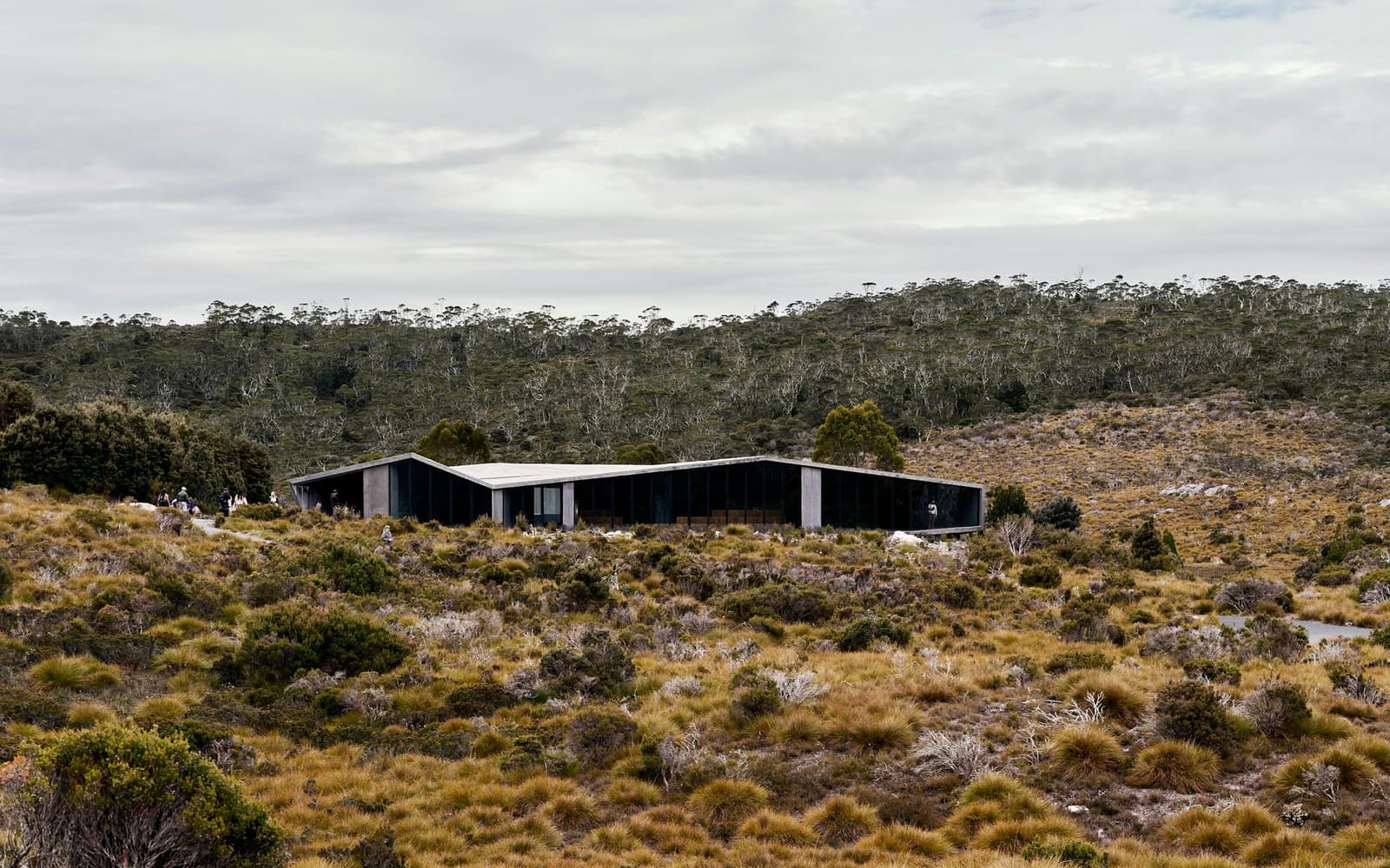 House 3: a long low roofline in the coastal scrub, looking over the bay.