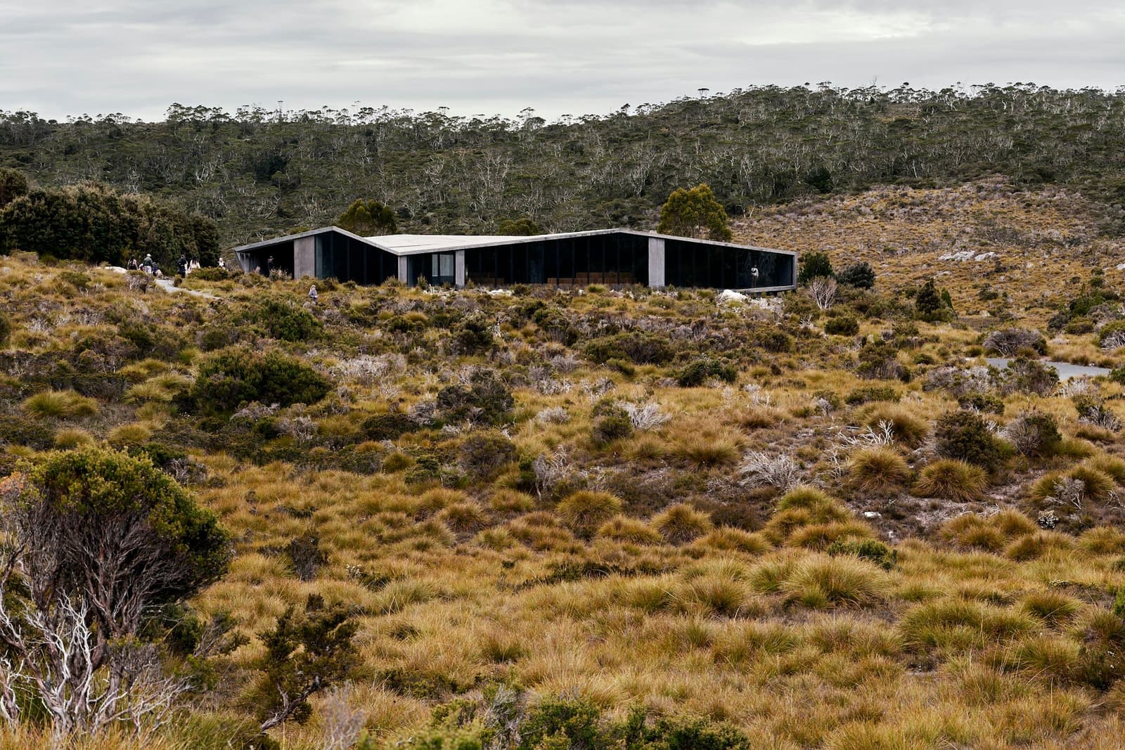 A long low house in the coastal scrub on a clear day.
